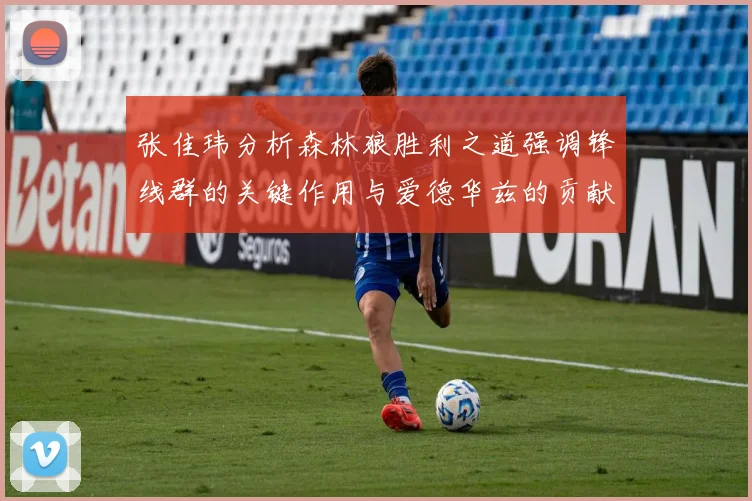 张佳玮分析森林狼胜利之道强调锋线群的关键作用与爱德华兹的贡献
