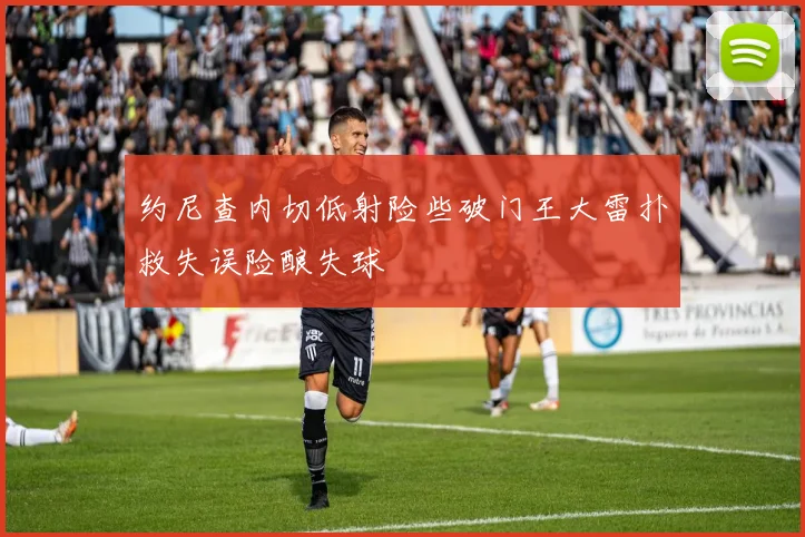 约尼查内切低射险些破门王大雷扑救失误险酿失球