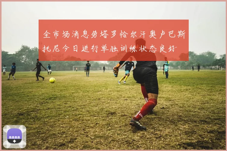 全市场消息劳塔罗恰尔汗奥卢巴斯托尼今日进行单独训练状态良好